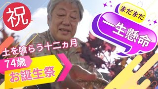 Twelve months of eating the earth🤩 Kenji Sawada will hold a live