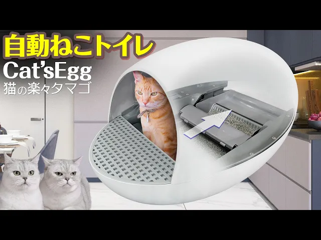 自動 ネコトイレ 【 Cat'sEgg Ver.3 ホワイト 】 コンパクト ドーム型