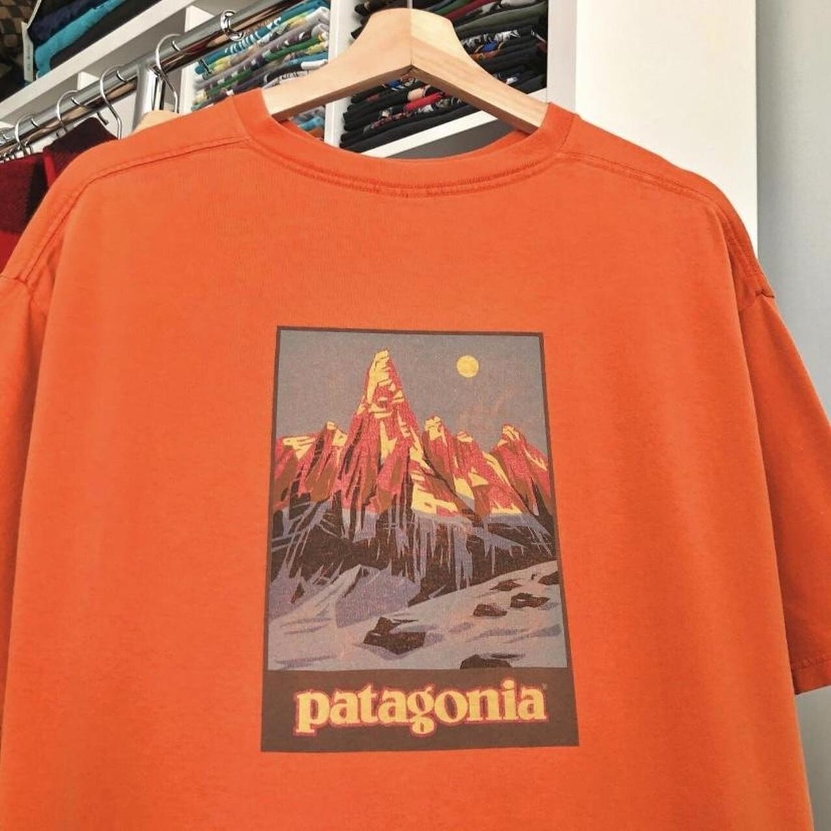 Vintage 90s Patagonia Mountains T Shirt Orange Beneficial Ts Made