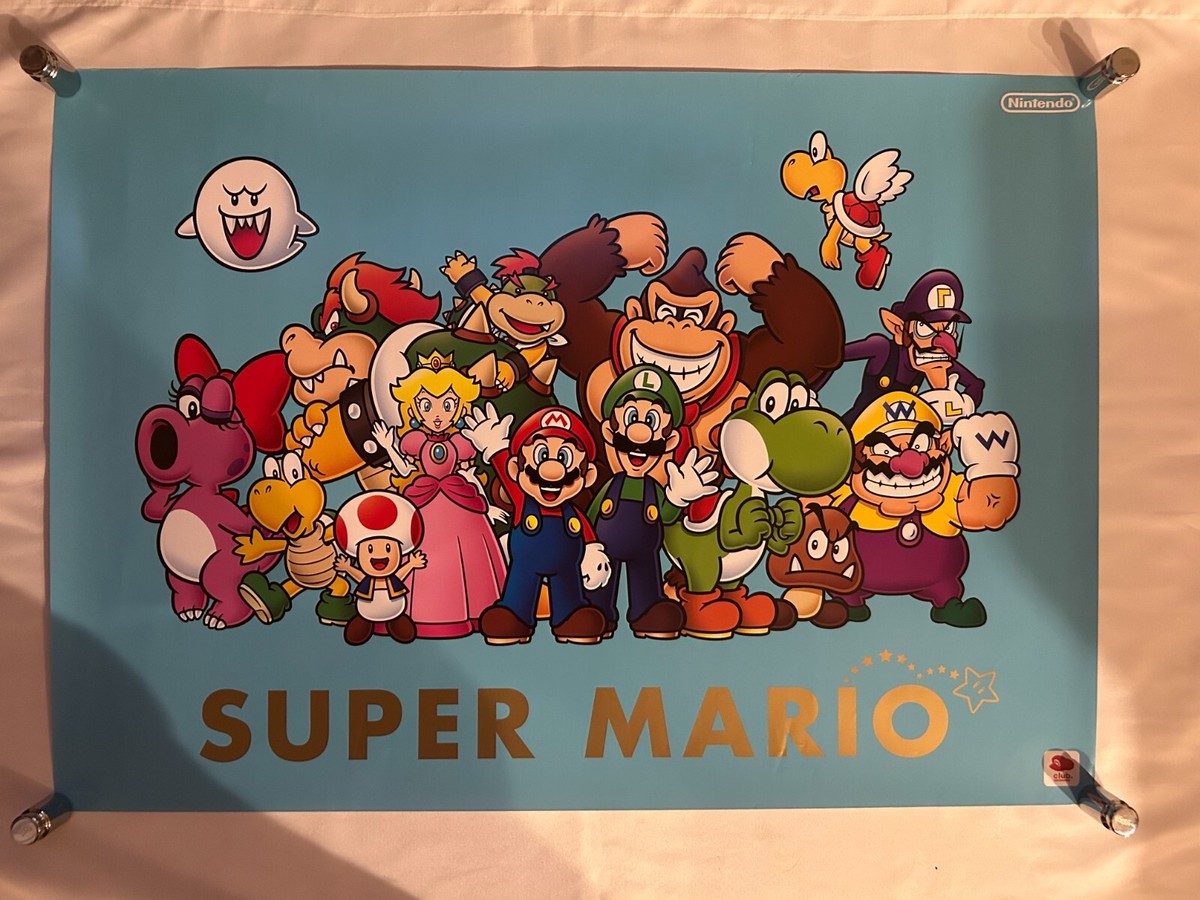 Super Mario Brothers / Japan Original Official Poster_1 B2 20x28in