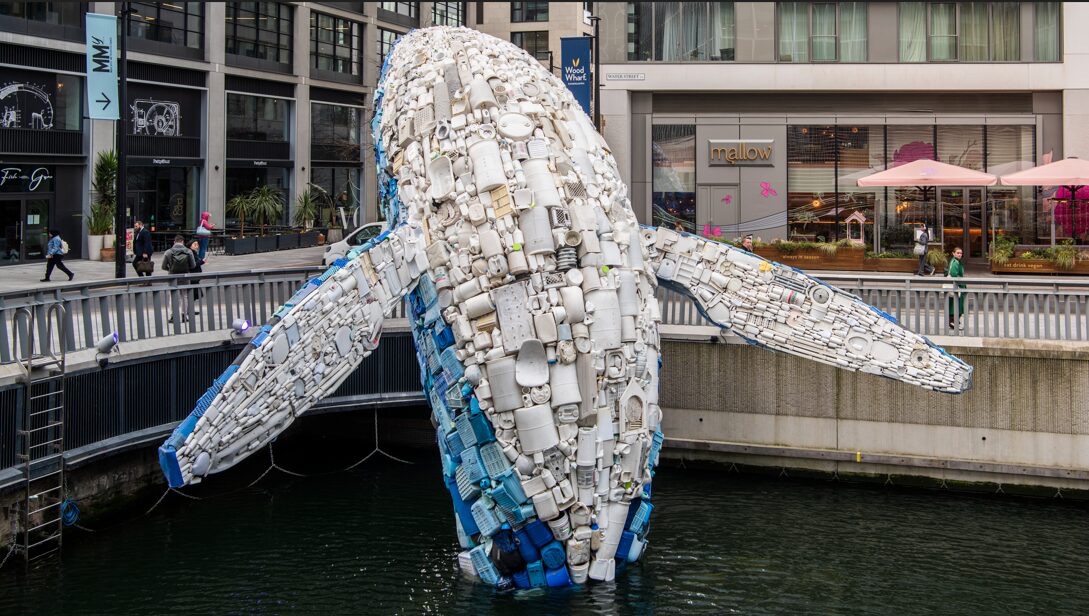 img_6248-1.jpg?fit=1089,616&ssl=1