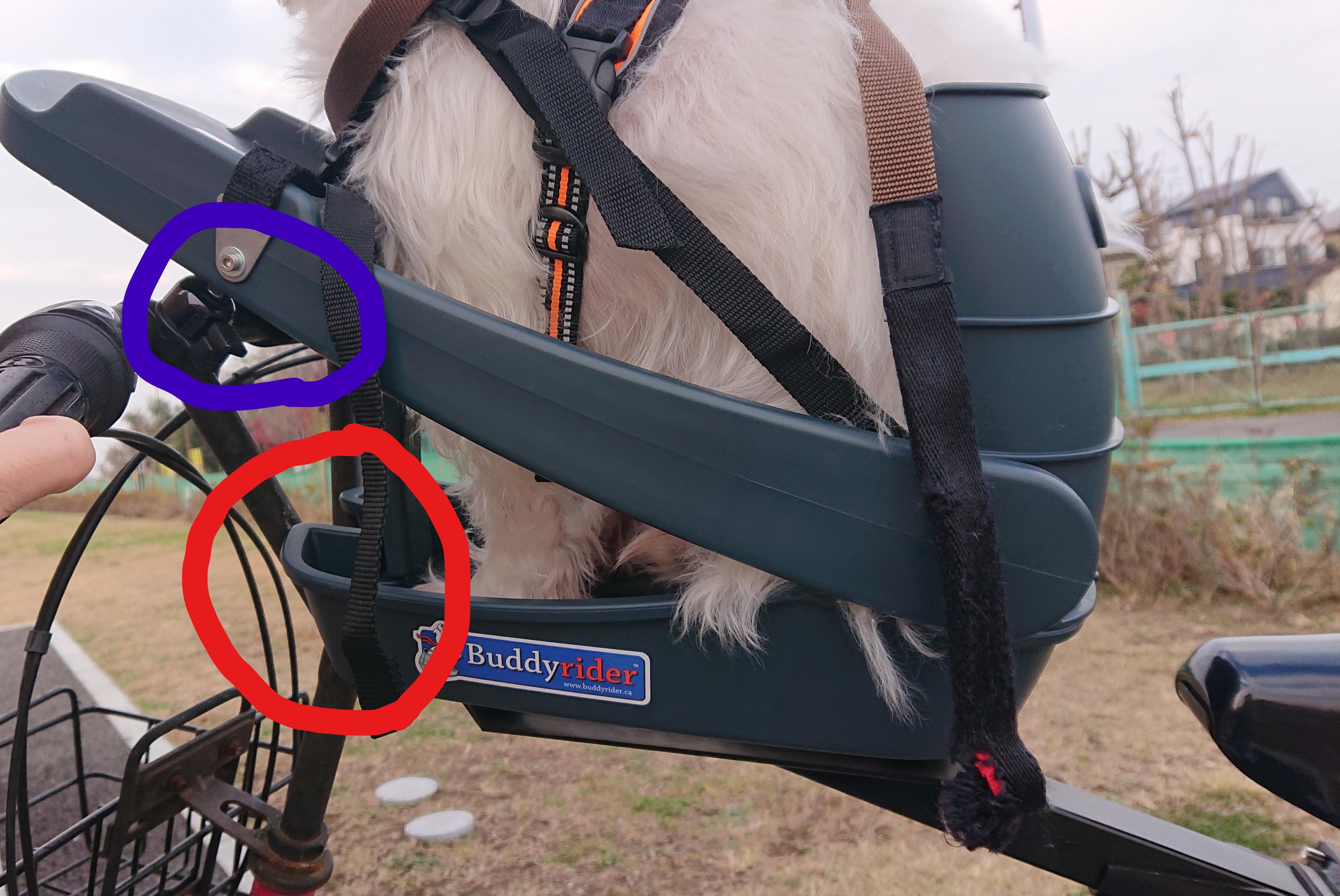 愛犬との快適生活 ～ 自転車で移動：ミニベロにBuddy riderを付けて