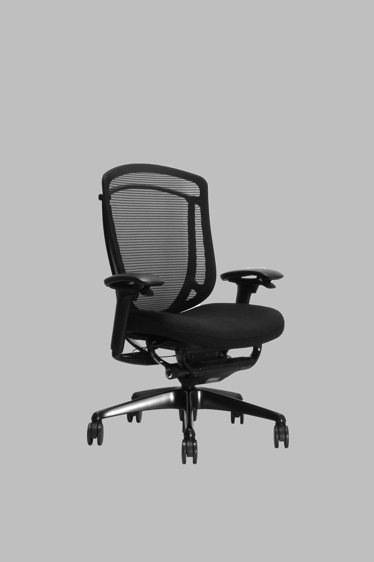 コンテッサセコンダ サーキュラーモデル｜ITEMS IN SHOP｜WORKAHOLIC