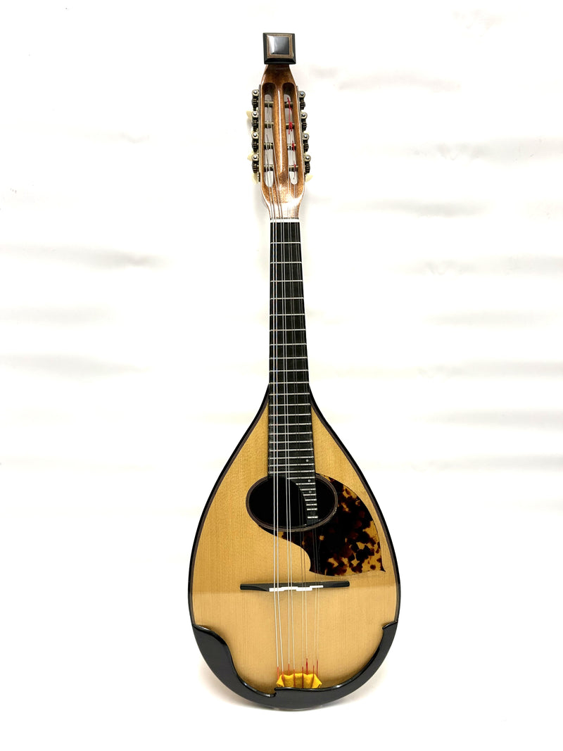 リユースマンドリン | マンドリンとギターの専門店 イケガク