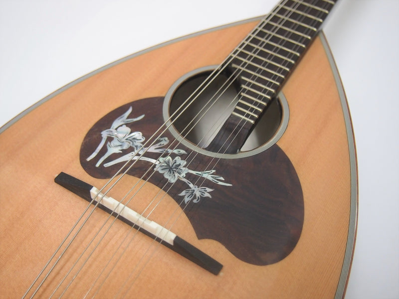 カラーチェマンドリンNo.26 杉 | イケガク