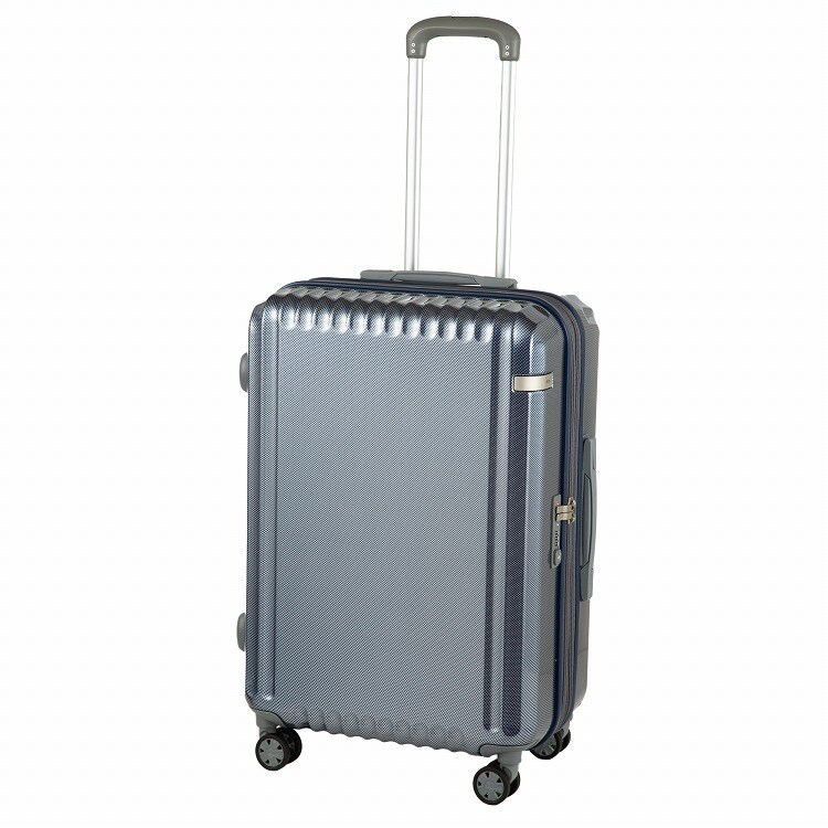 エース ACE パリセイドz」の人気商品一覧 | 安い商品を通販サイトから