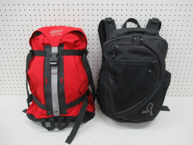 DANA DESIGN 廃版バックパック 2点セット | アウトドア用品