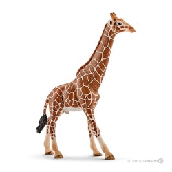 ヨドバシ.com - シュライヒ Schleich 14749 キリン オス [WILD LIFE