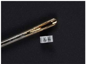 0.75ミリ角・世界一小さい本、凸版印刷が製作に成功、販売も - ITmedia