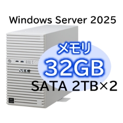 NEC Express5800/D/T110m Xeon 6315P 4C/32GB/SATA 2TB*2 RAID1/W2025