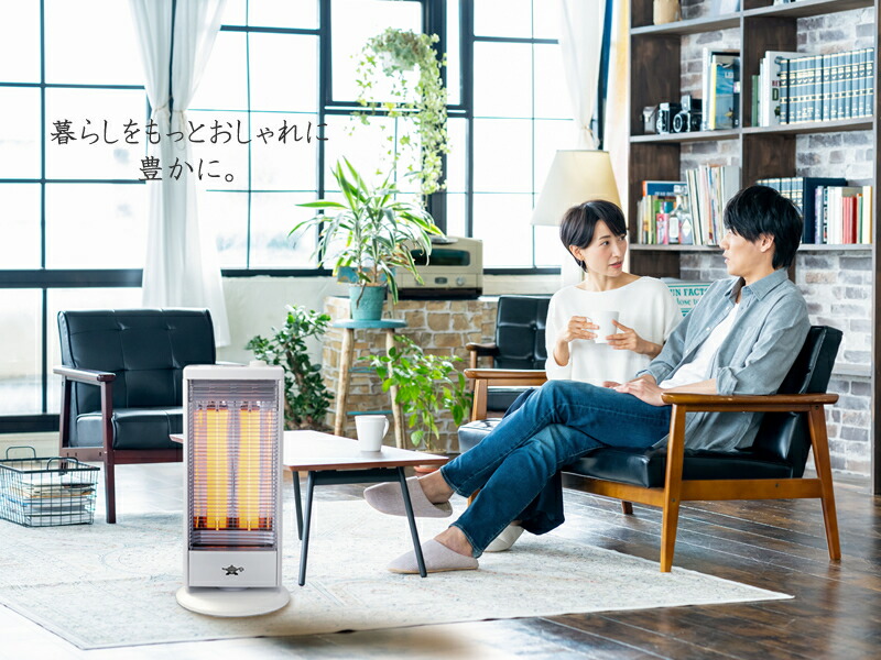 楽天市場】日本エー・アイ・シーaladdin(アラジン)遠赤グラファイト