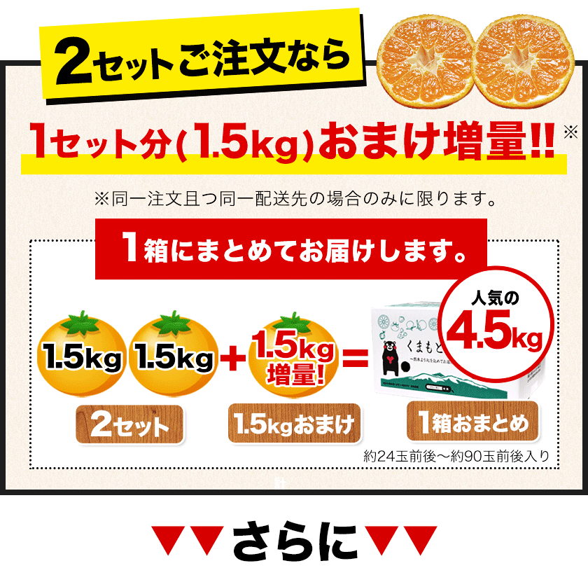 訳あり熊本みかん 1.5㎏ 送料無料 熊本 ミカン 果物 柑橘《7-14営業日