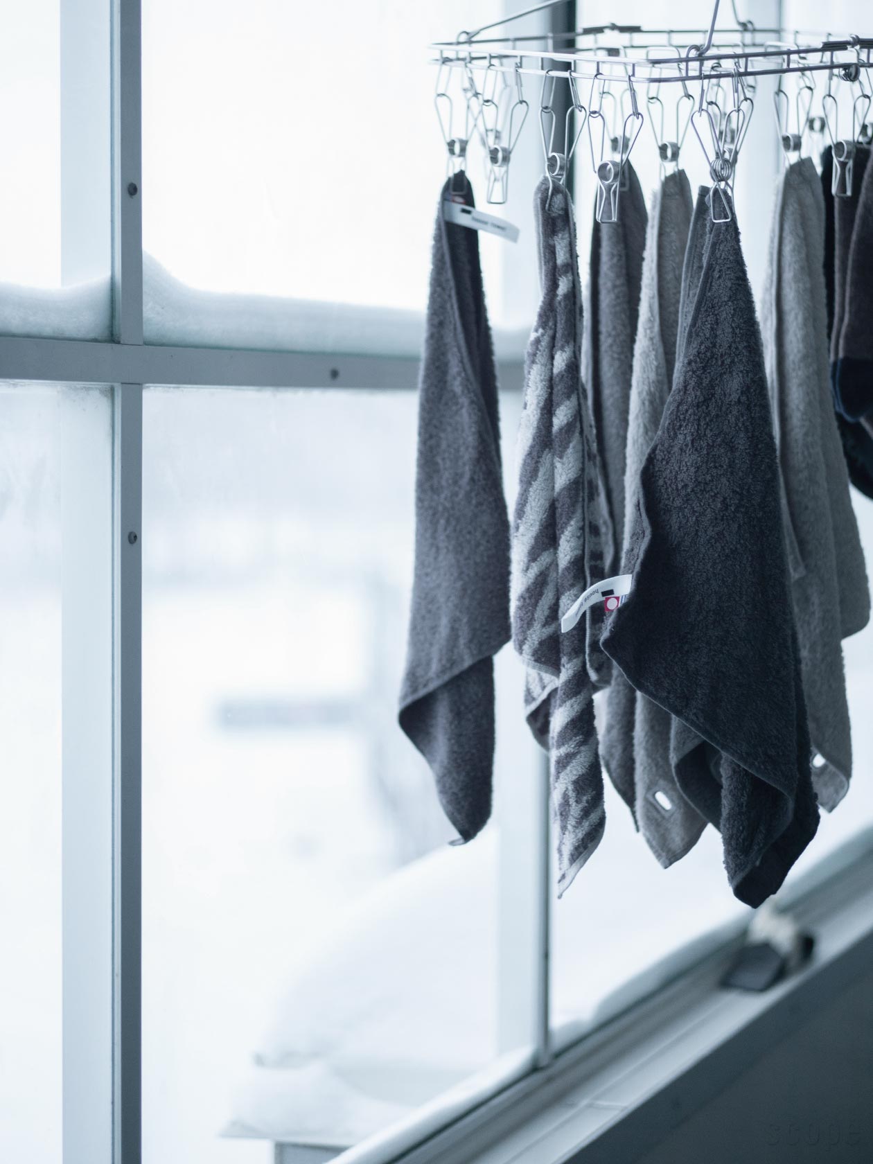 楽天市場】【4月2日9:59まで期間限定価格】スコープ / ハウスタオル