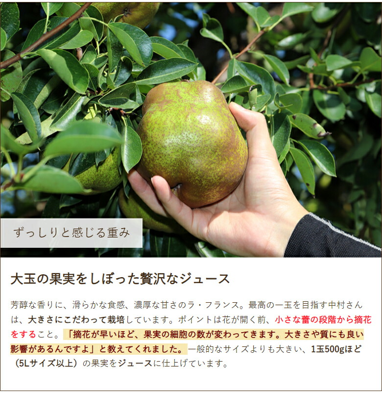 楽天市場】ラ・フランスジュース 「2本入り」or「3本入り」or「6本入り