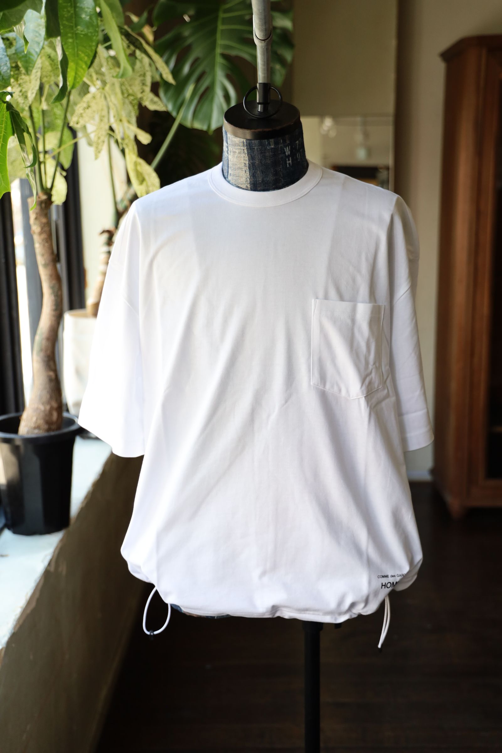 sKmBVtAv7KG5.jpg?width=768