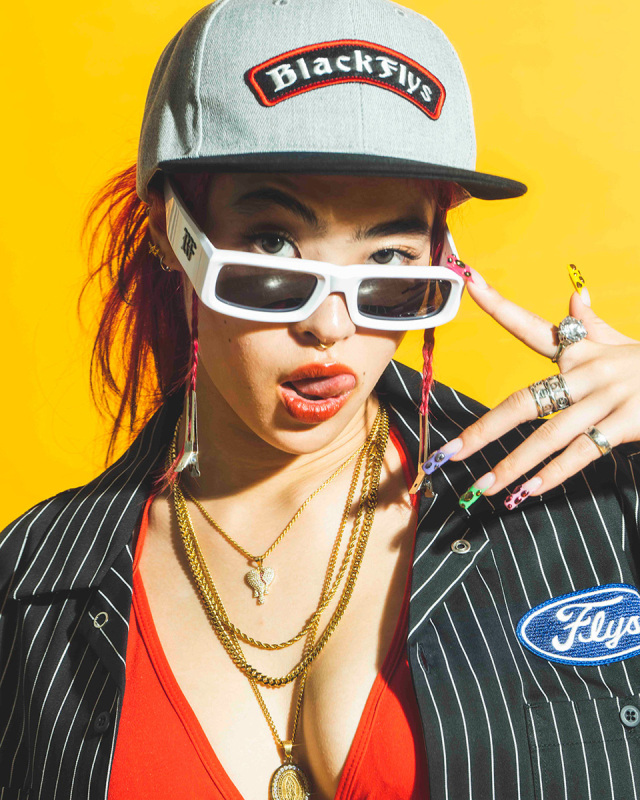 BLACKFLYS / FLY DOZER