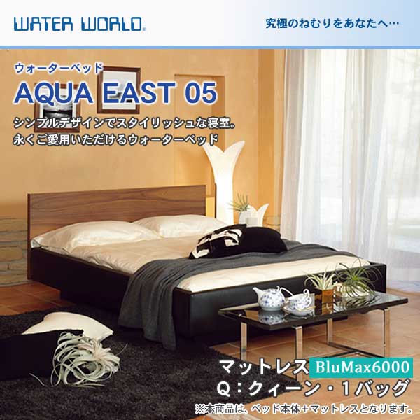 ウォーターベッド【送料無料 開梱 組立設置無料】AQUA EAST05 アクア