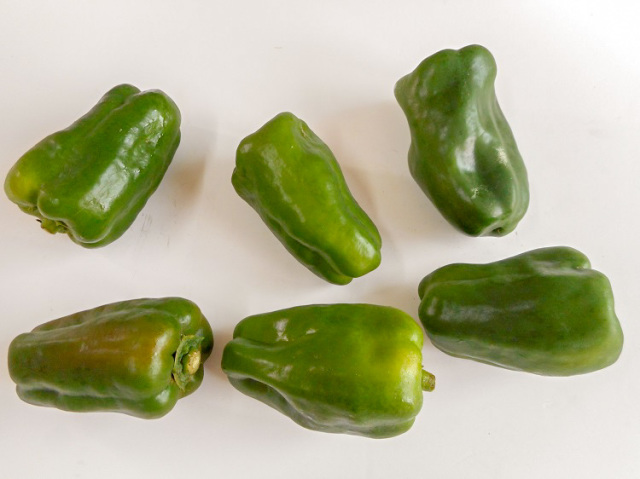 鹿児島県産 ピーマン