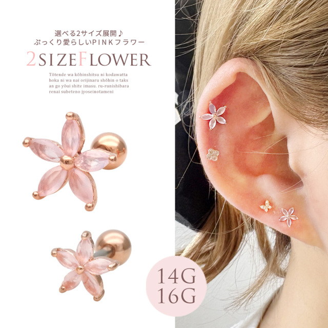 専用です。アンデルヨン 花とベリーのピアス 専用です。アンデルヨン