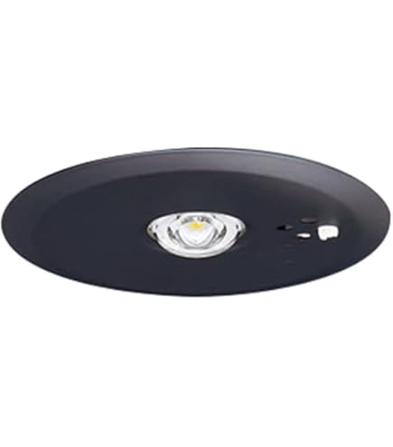 Amazon | パナソニック(Panasonic) 天井直付型 LED 昼白色 非常用照明