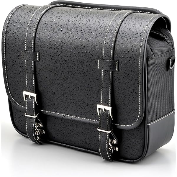 Amazon | デイトナ(Daytona) W800 W650 W400専用 サイドバッグサポート