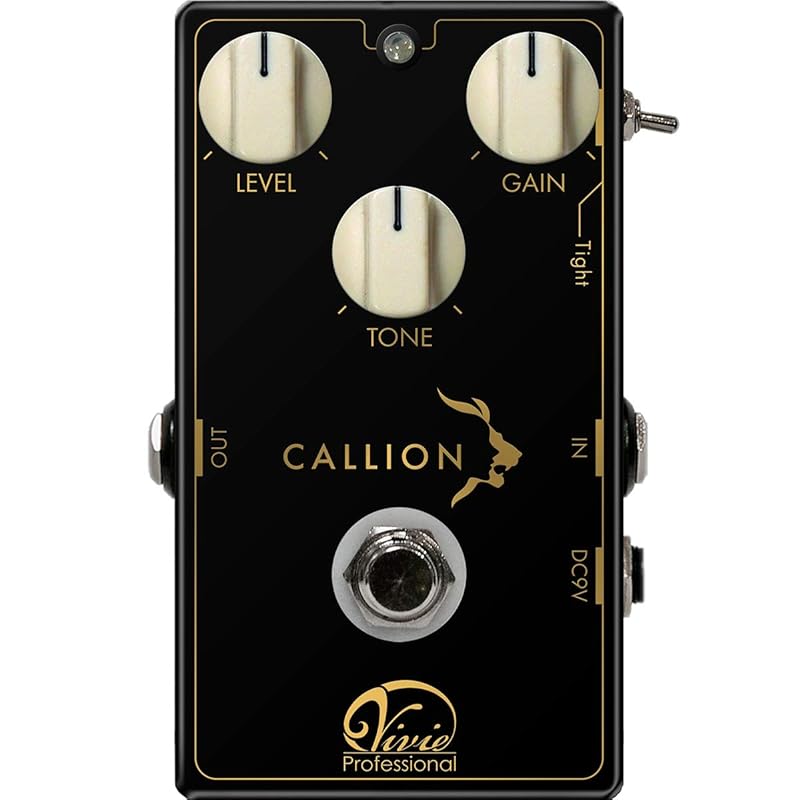 Vivie CALLION - 「プロギタリストに求められるオーバードライブ