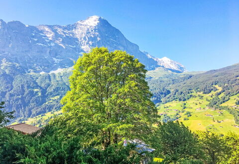 Holiday Rentals in Grindelwald. Switzerland villas | Vacation