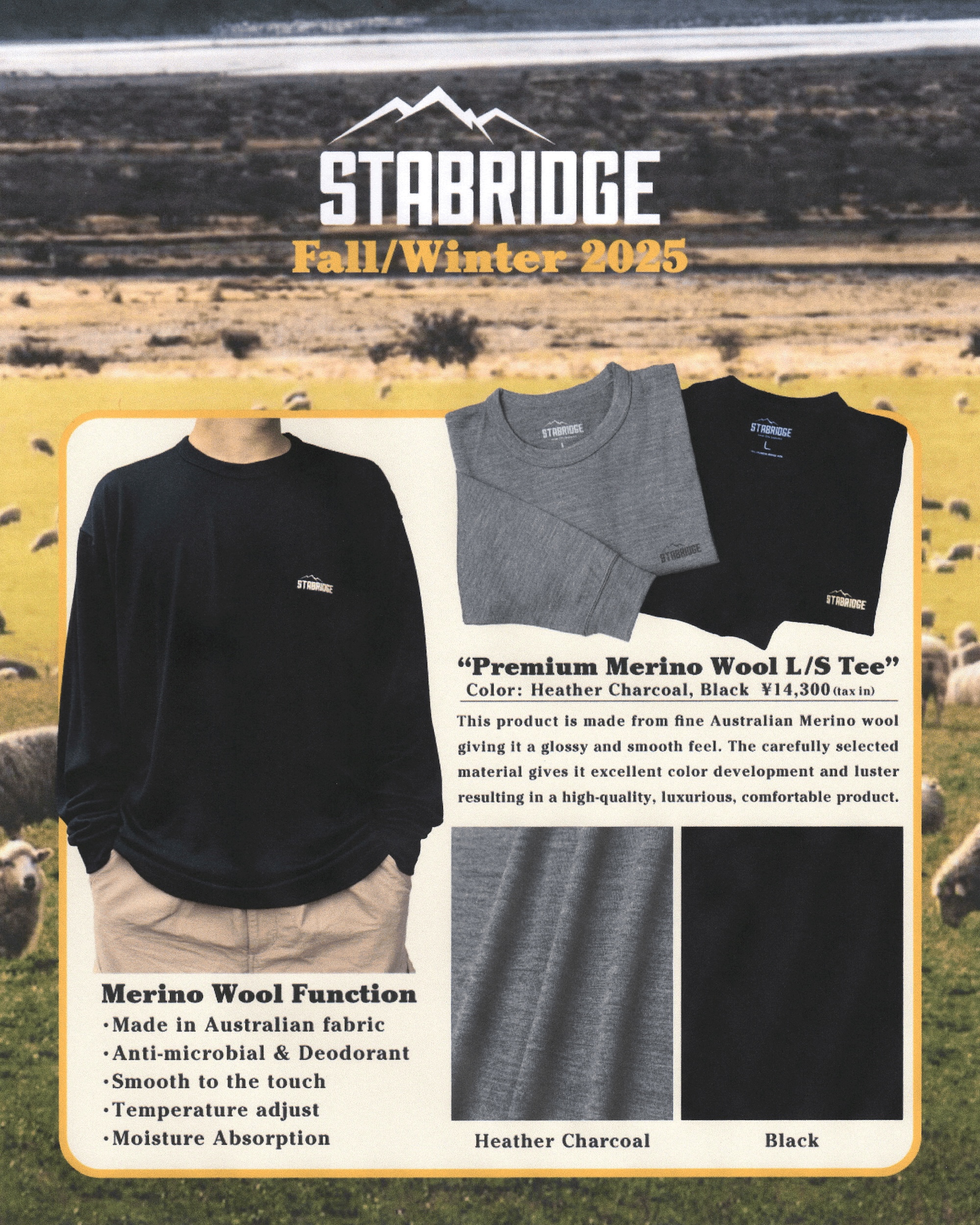 Merino | the Apartment