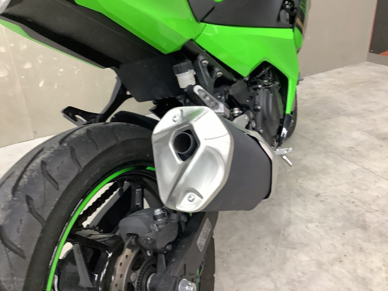 24617394.jpg?resize=600,450,ffffff