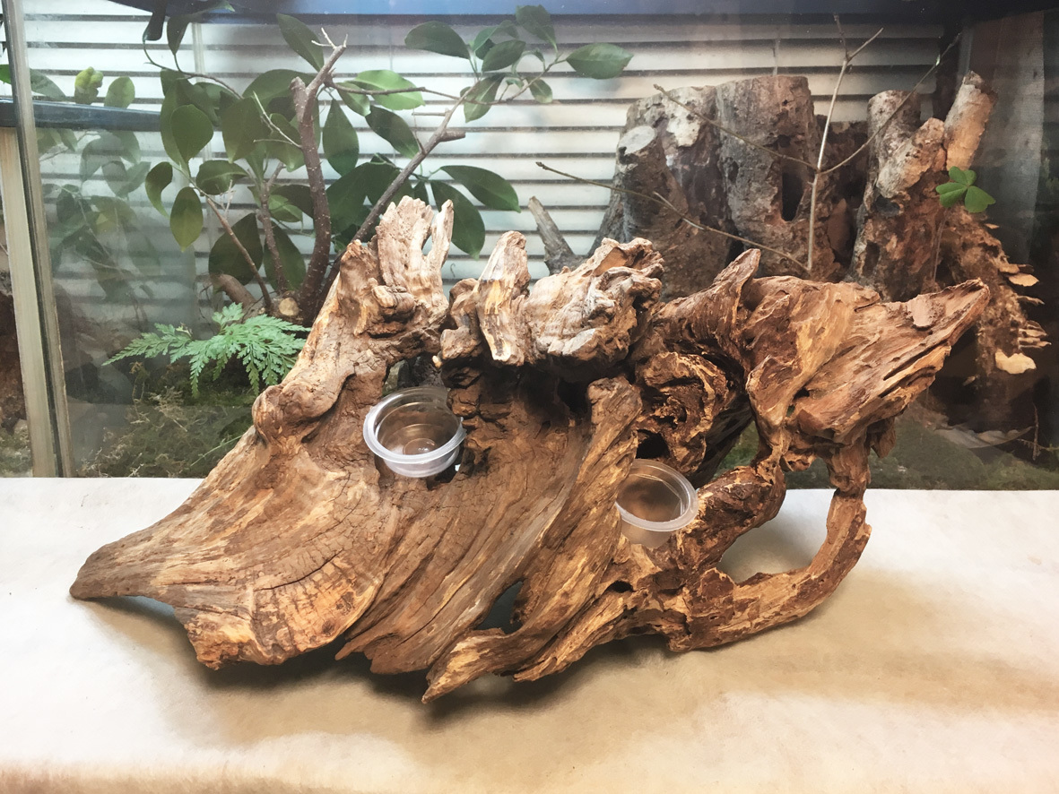 m46特大流木 大型流木 アク抜き済み 爬虫類シェルター レイアウト用