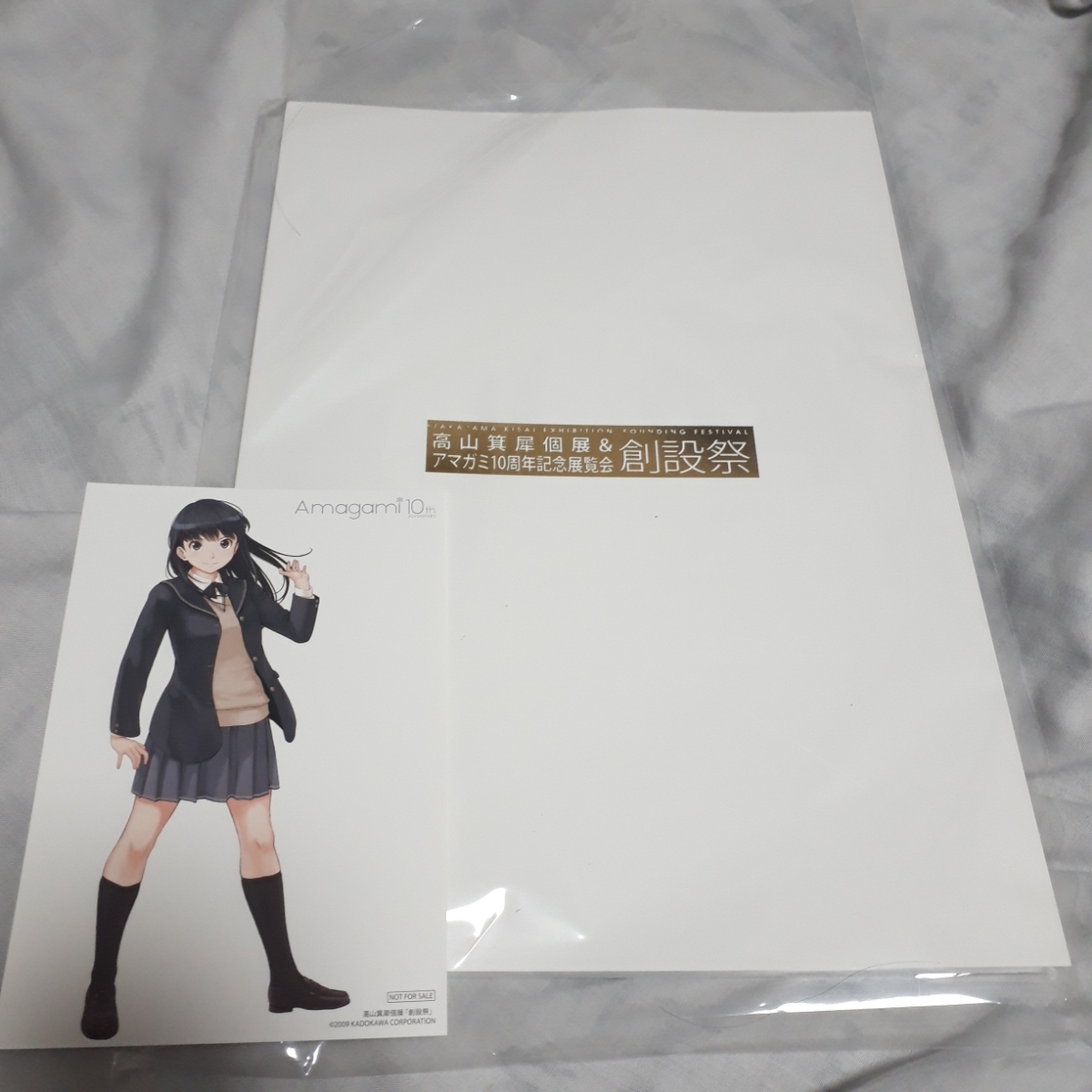 新品】アマガミ 創設祭 図録 10周年記念展覧会 おまけ付 高山箕犀 個展