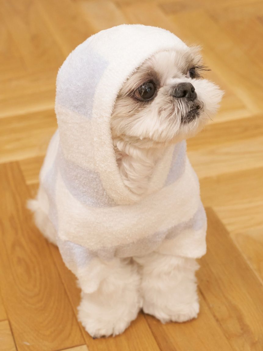 CAT&DOG】スムーズィーXLサイズ2ボーダーフーディー(ウェア)｜ルーム