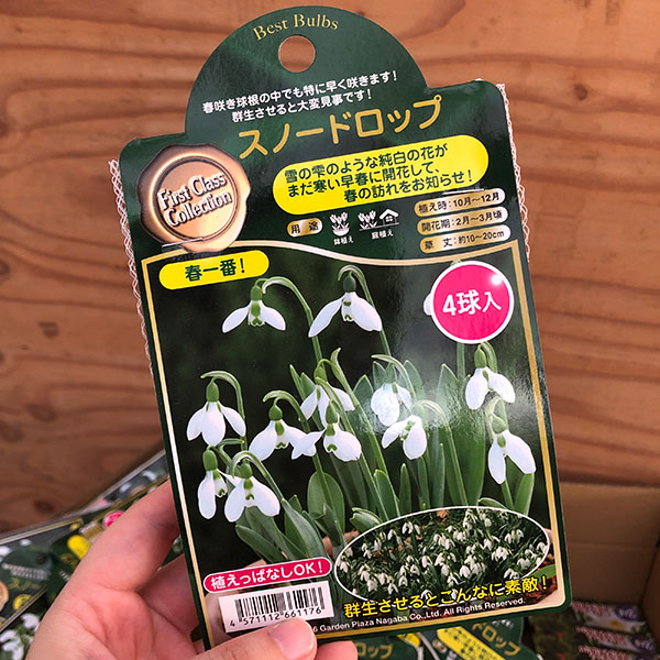 園芸ネット本店｜[送料無料]スノードロップ：ガランサス・エルウィシー