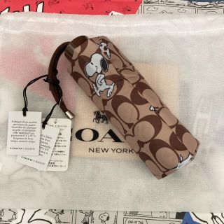 COACH（傘）のフリマアイテム一覧