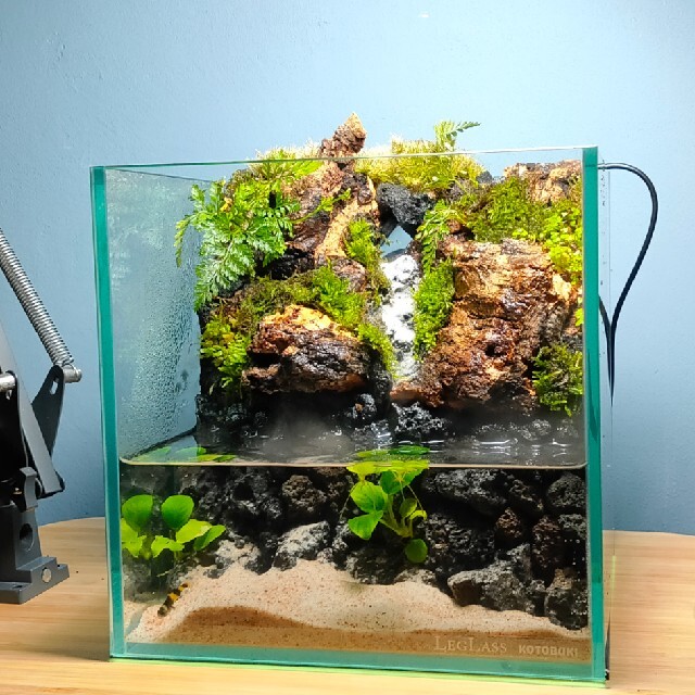 滝の流れるアクアテラリウム No.1141 滝の流れるアクアテラリウム No