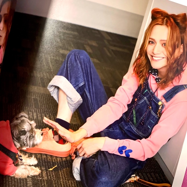 三浦涼介 旧ファンクラブ リボンタイ 花冠 あさステ！ 特典 ブロマイド