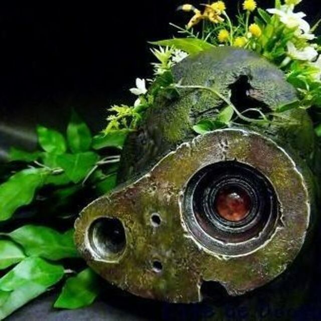 新品☆ジブリ グッズ 天空の城ラピュタ プランター 植木鉢の通販 by