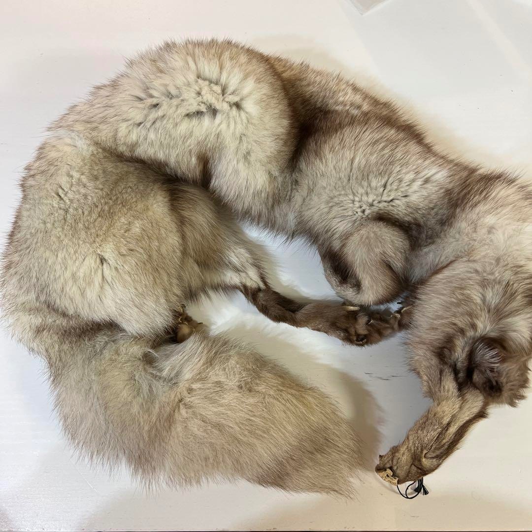 フォックス 狐 リアルファー 毛皮 本物 ロシアの通販 by うさぴょん's