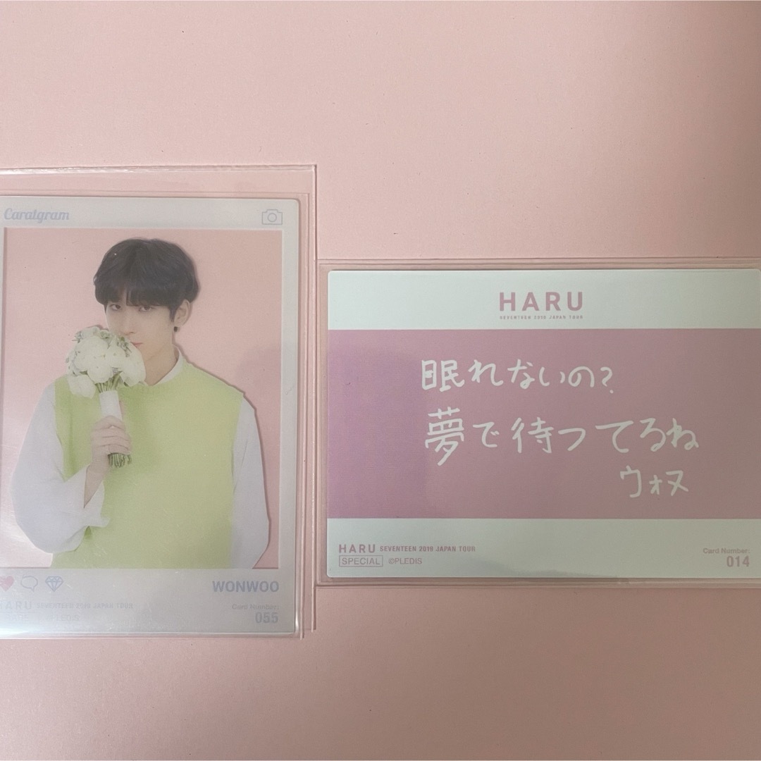SEVENTEEN - ウォヌ haru svt winter hare 日本語 トレカ の通販 by