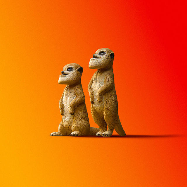 シャクレルプラネット】シャチ、ミーアキャットの通販 by あーみ's