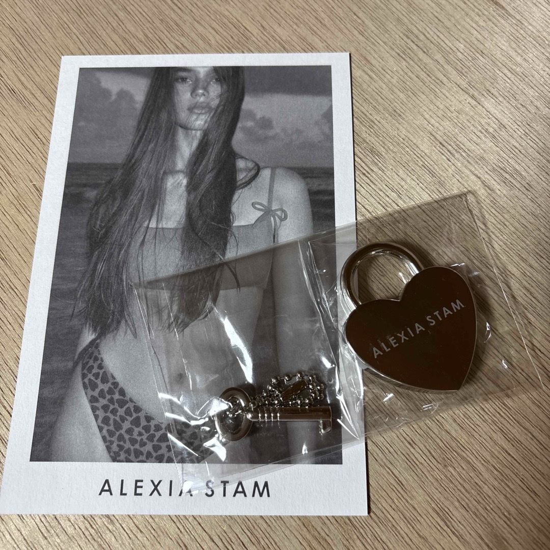 ALEXIA STAM キャリーケース チャーム シール 袋 アレクシアスタン