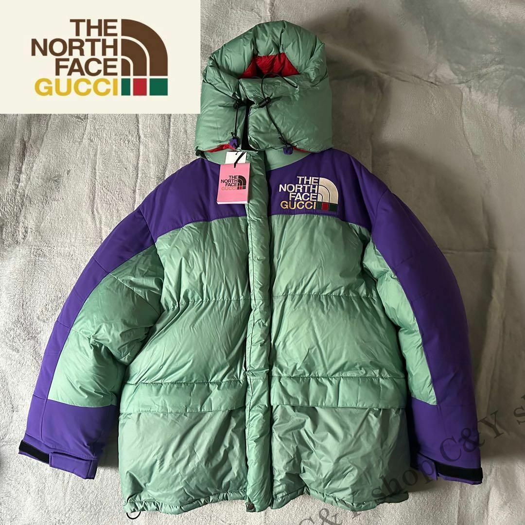 GUCCI - GUCCI THE NORTH FACE グッチノースフェイス ダウンジャケット