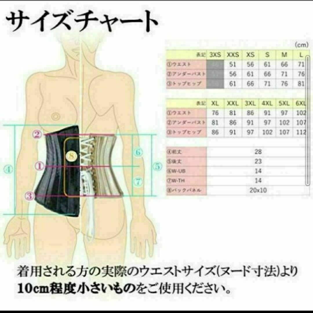 サイズL シャンパン 24本強化スチールボーン アンダーバスト