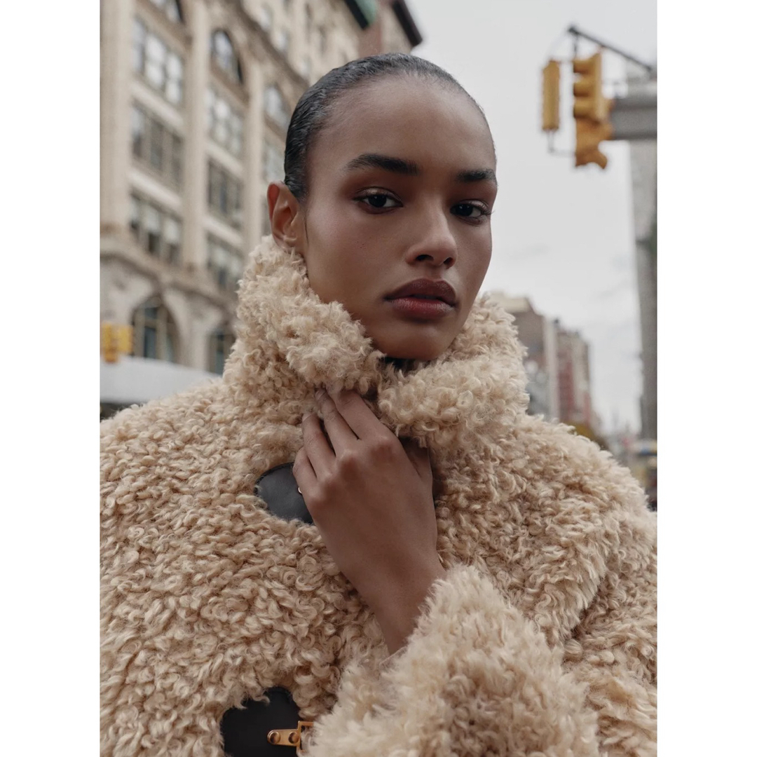 ZARA - ZARA トグルボタンフェイクファージャケット Lの通販 by