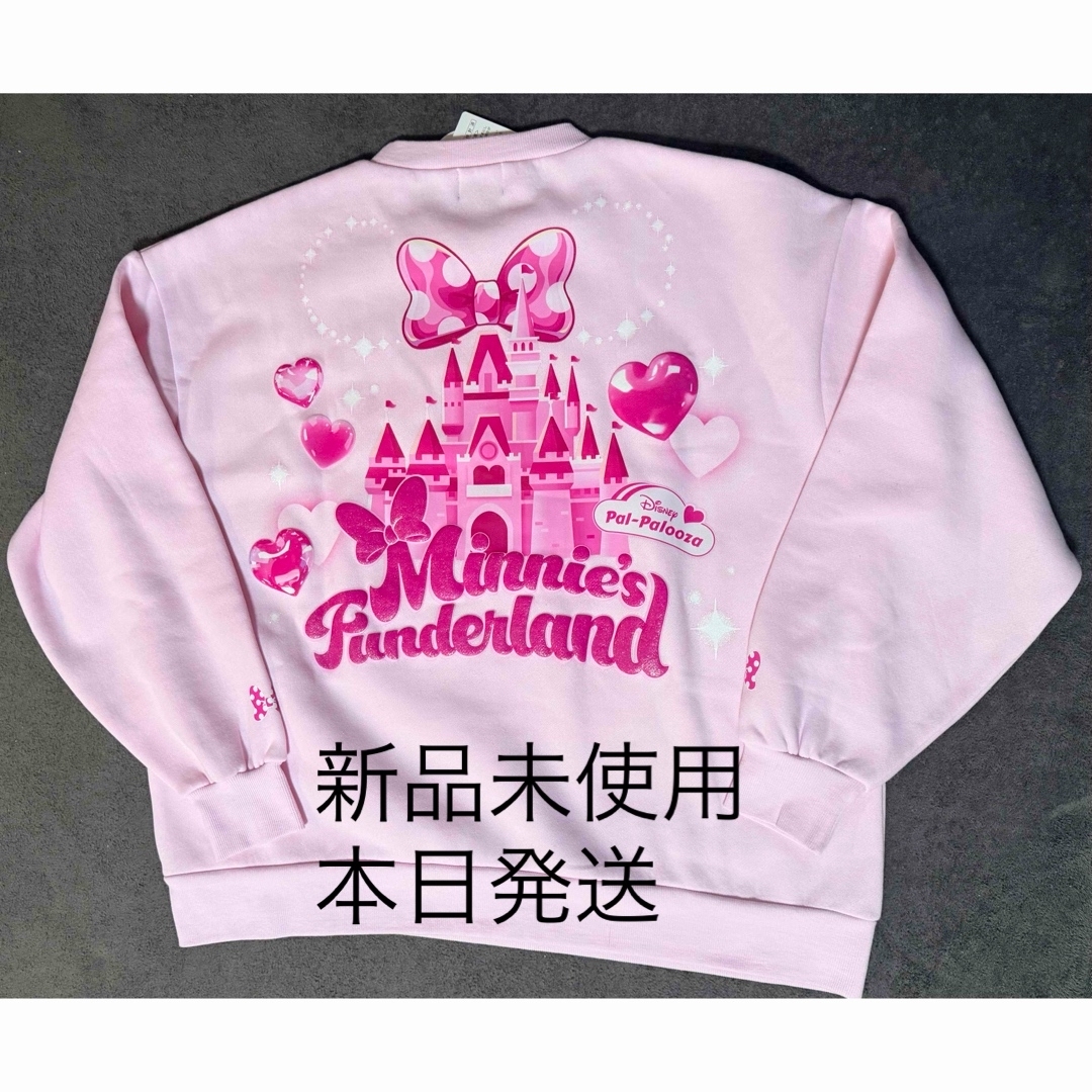 Disney - ディズニー パルパルーザ ミニーのファンダーランド