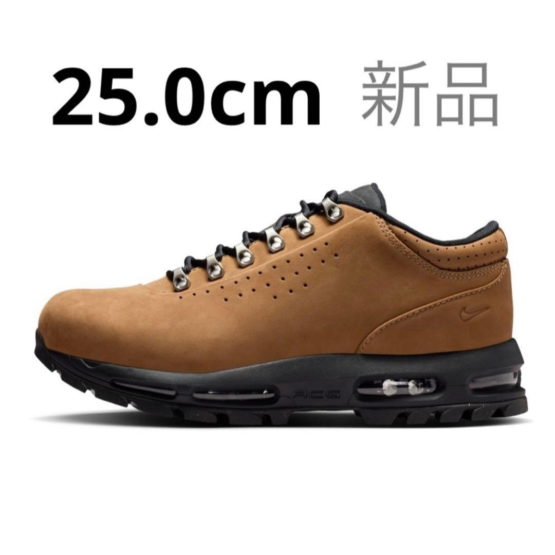 NIKE - 【完売品】NIKE AIR MAX GOADOME LOW SP 