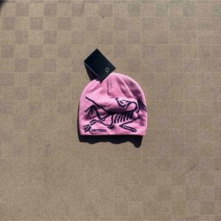 ARC'TERYX（ニット帽/ビーニー ・ ピンク/桃色系）のフリマアイテム一覧