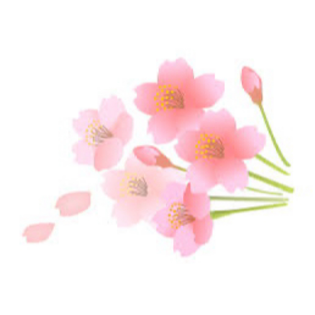 モデーア バブルバス MÖDERE 入浴剤 3本セット 2/5(木)限定！ポイント+