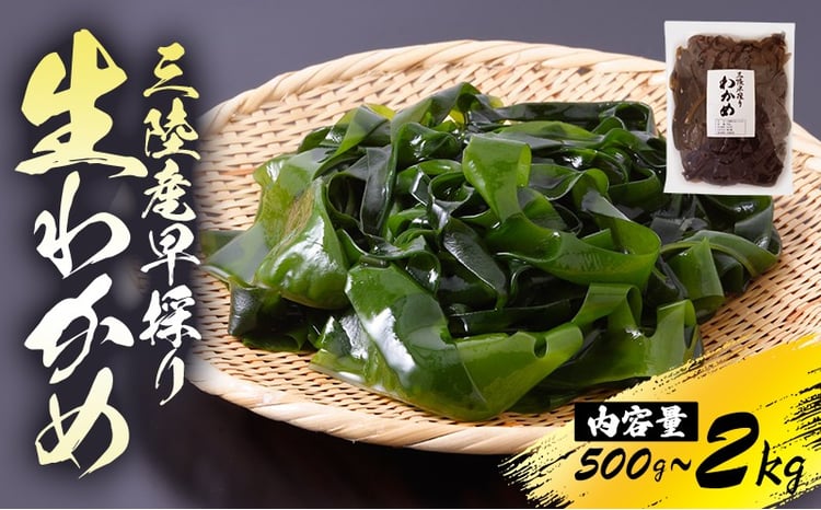 先行予約】 産地直送 早採り生わかめ 新物 冷蔵 選べる容量 期間限定