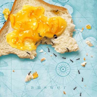 answer : おいしくるメロンパン | HMV&BOOKS online - XNRJ-10030